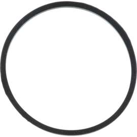 Allpoints 2221419 Gasket, Lock Nut For Waring Products