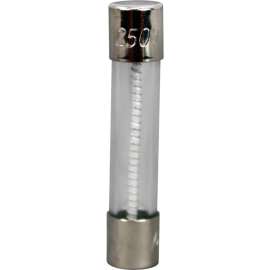 Allpoints 38-1046 1/4" x 1 1/4" 2 Amp Time Delay Glass Fuse - 250V
