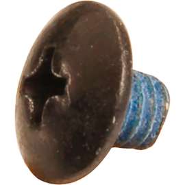 Allpoints 2941059 Screw, Hold Open, 8-32X3/16" For Anthony International, California