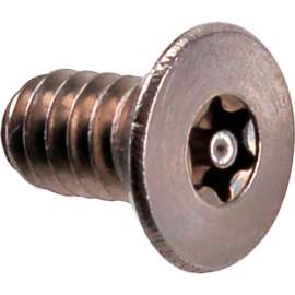 Allpoints 6231015 Screw, Tmprprf, #10-24Thd, 25Pk