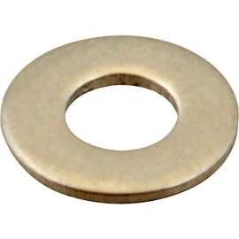 Allpoints 7050600 Washer, Flat/Ss (100)