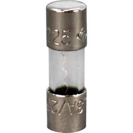 Allpoints 381622 Fuse - 3A For Frymaster