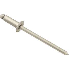 Allpoints 1421132 Rivet, Blind, Stainless Steel, #42, 100-Pk