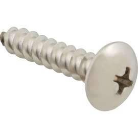 Allpoints 6121020 Screw, Sm/Th/Ss (100)