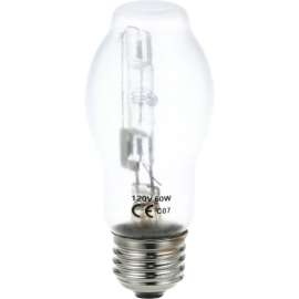 Allpoints 8011016 Lamp - Coated, Halogen, 120V/60W/Clear