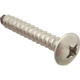 Allpoints 6121224 Screw, Sm/Th/Ss (100)