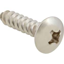 Allpoints 6121216 Screw, Sm/Th/Ss (100)