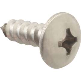 Allpoints 6121212 Screw, Sm/Th/Ss (100)
