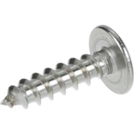 Allpoints 26-1494 Stainless Steel Phillips Truss Head 10 x 3/4" Sheet Metal Screw - 100/Box