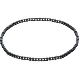 Allpoints 8012575 Drive Chain For Roundup Food Equipment