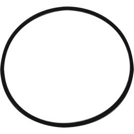 Allpoints 8009937 O-Ring Saniserve Door