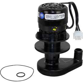 Allpoints 8010261 Water Pump - 230V-50/60Hz For Manitowoc Machines