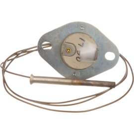 Allpoints 8009316 Flame Switch
