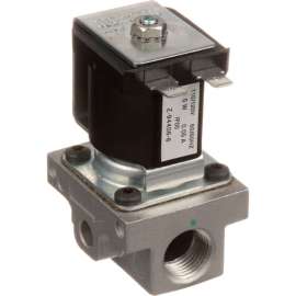 Allpoints 8009505 Gas Solenoid Valve -120V