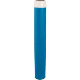Allpoints 1171184 Cartridge, Cgt-20, Carbon, 20" For Everpure Filter