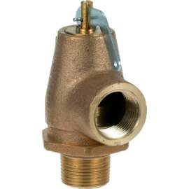 Allpoints 561356 Valve, Steam Safety -3/4