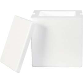 Global Industrial Insulated Foam Containers, 8"L x 6"W x 9"H, White, 8/Pack
