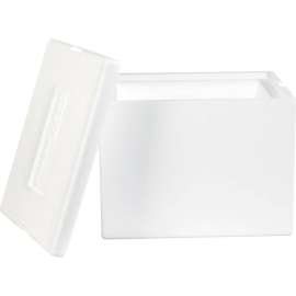 Global Industrial Insulated Foam Containers, 12"L x 10"W x 9"H, White, 1 Pack