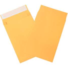 Expandable Self Seal Envelopes, 13"W x 10"H, Kraft, 100/Pack