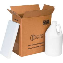 Global Industrial Two 1 Gal. Plastic Jug Haz Mat Shipper Kit, 12"L x 6"W x 12-3/4"H