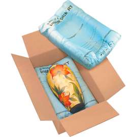 Instapak Quick Room Temperature Expandable Foam Bags, 18"W x 24"L, 30/Pack
