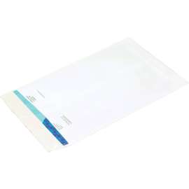 Ship-Lite Flat Envelopes, 10"W x 13"L, White, 100/Pack