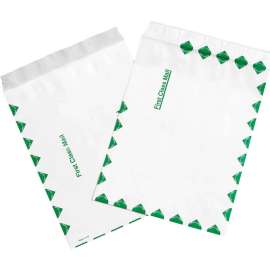 Tyvek Self Seal Flat Envelopes, 10"W x 13"L, First Class, 100/Pack