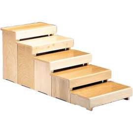 Wheelchair Training Stools, Set of 5