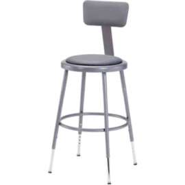 NPS - 6400 Series Gray Vinyl Padding Steel 18.5" to 26.5" Science Stools with Backrest