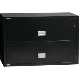Phoenix Safe Lateral 44" 2-Drawer Fire and Water Resistant File Cabinet, Black - LAT2W44B