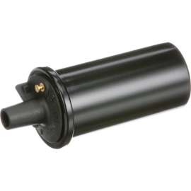 Delphi GN10273 - Ignition Coil