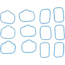 Engine Intake Manifold Gasket Set, Victor Reinz 11-10364-01