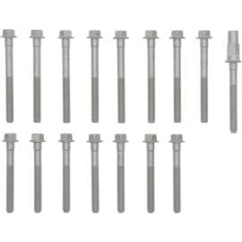 Engine Cylinder Head Bolt Set, Victor Reinz 14-10069-01