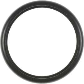 Engine Coolant Thermostat Gasket, Victor Reinz 71-13563-00