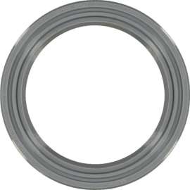 Engine Crankshaft Seal, Victor Reinz 81-25587-10