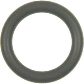 Standard SK93 - Fuel Injection Pressure Regulator O-Ring