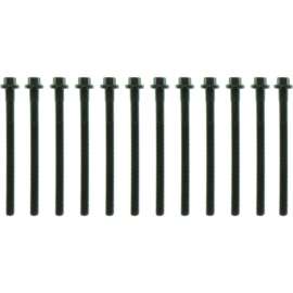 Mahle GS33486 - OEM Standard Cylinder Head Bolt Set
