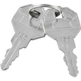 Replacement Keys For Inner Door of Global Industrial Narcotics Cabinet 436952, 2pcs Key# 156