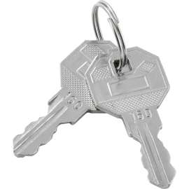 Replacement Keys For Inner Door of Narcotics Cabinet 436953, 2pcs Key# 160