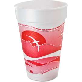 Dart Horizon Hot/Cold Foam Drink Cups, 16 oz, Printed, Cranberry/White, Pack of 1000