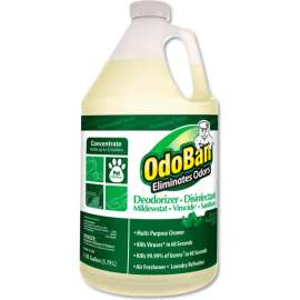 Concentrated Odor Eliminator, Eucalyptus, 1 Gal Bottle, 4/Carton