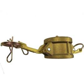 2" Brass Type DC Coupler with Dust Cap