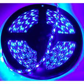 Race Sport 16'/5M 3528 LED Tape Strip Reel Custom Lighting, Blue
