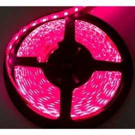 Race Sport 10 Pack of 5050 5M 300 LED Strip Light Reels, IP67 Waterproof, Purple