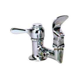 Halsey Taylor Fountain Head, 2507 FTN