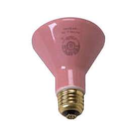 Infra-Red 250 Watt Ceramic Replacement Bulb, 1 Each