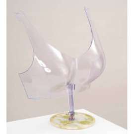 Free Standing Bra Form - Clear Plastic