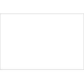 Rectangular Block Out Paper Labels, 6"L x 4"W, White, Roll of 500