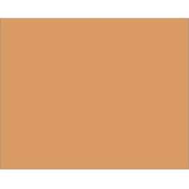 Rectangular Block Out Paper Labels, 10"L x 8"W, Kraft, Roll of 250