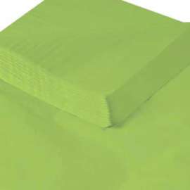 Global Industrial Gift Grade Tissue Paper, 20"W x 30"L, Citrus Green, 480 Sheets